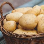 Что в себе содержит картошка: полезные свойства и лечебные качества